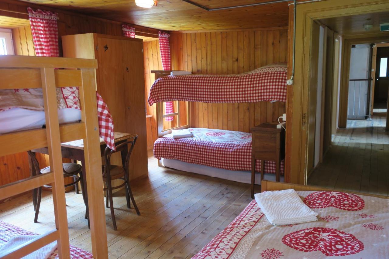 Bunk Bed Mixed Dormitory Room,1000882062:JPEG