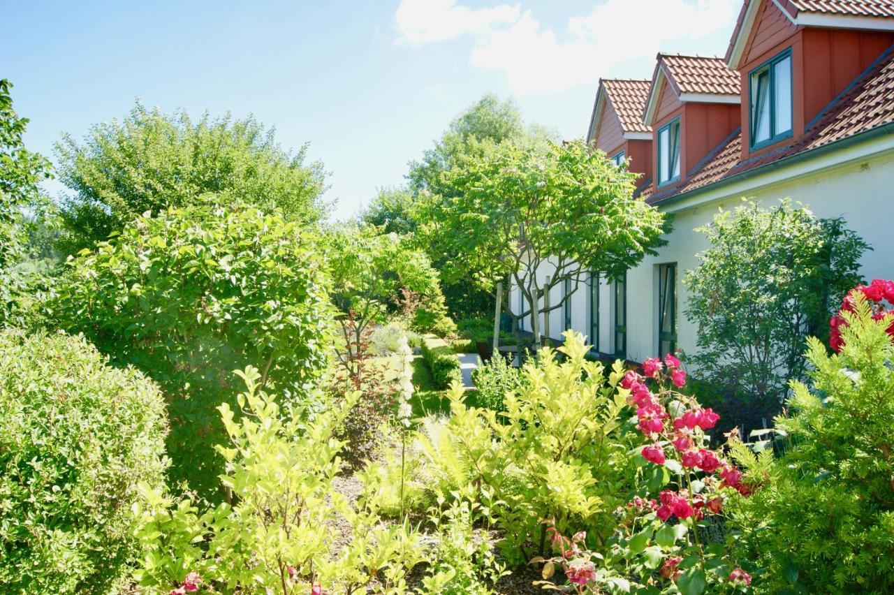 One-Bedroom House,1007281837:JPEG