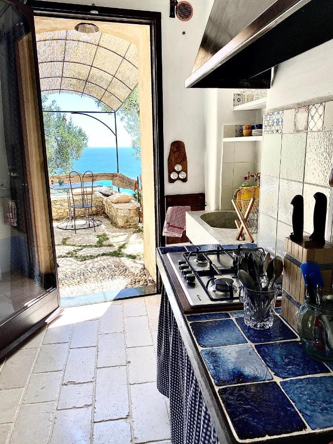 Holiday Home,1057375465:JPEG