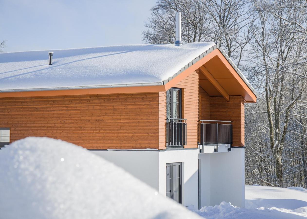 Luxus 8P Haus nahe Skigebiet und Zentrum,1112138457:JPEG