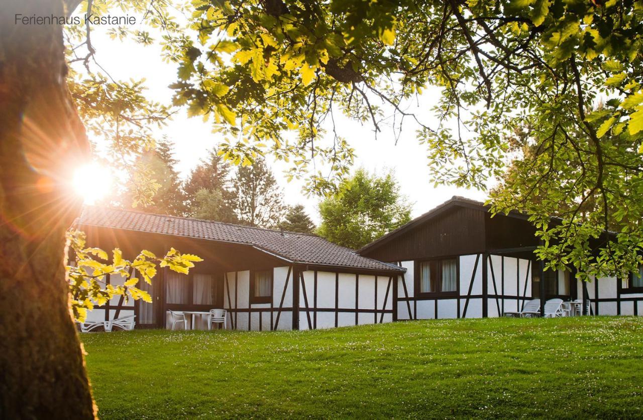 Holiday Home,1078222633:JPEG