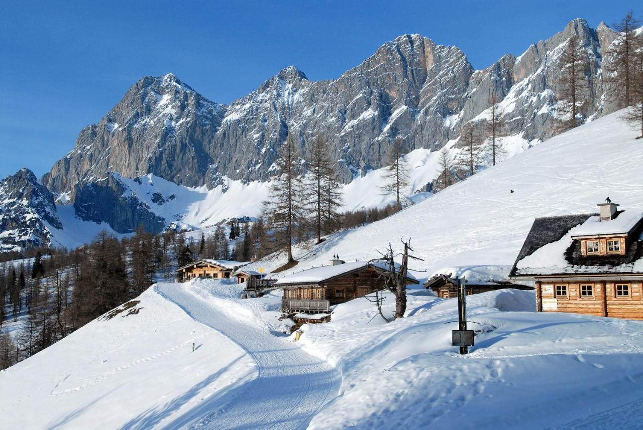 Superior Chalet,1773746366:JPEG