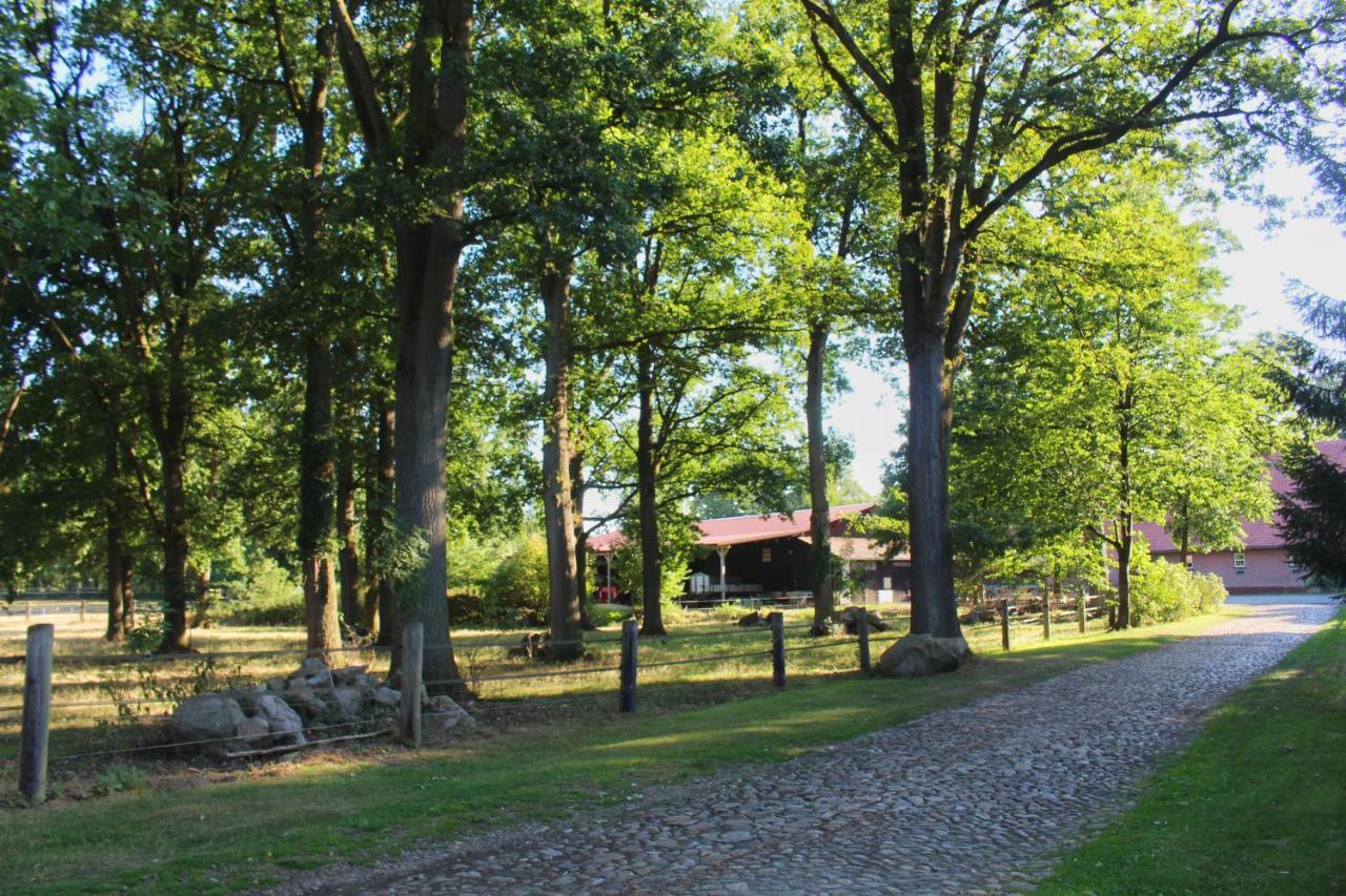 Holiday Home,1272159259:JPEG