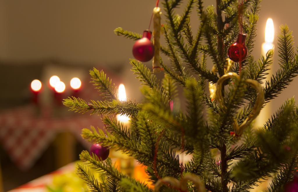 Three-Bedroom House,154416112:JPEG