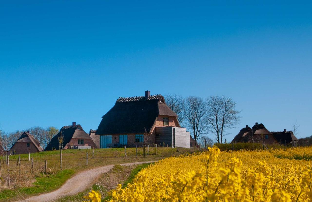Holiday Home,1545492703:JPEG