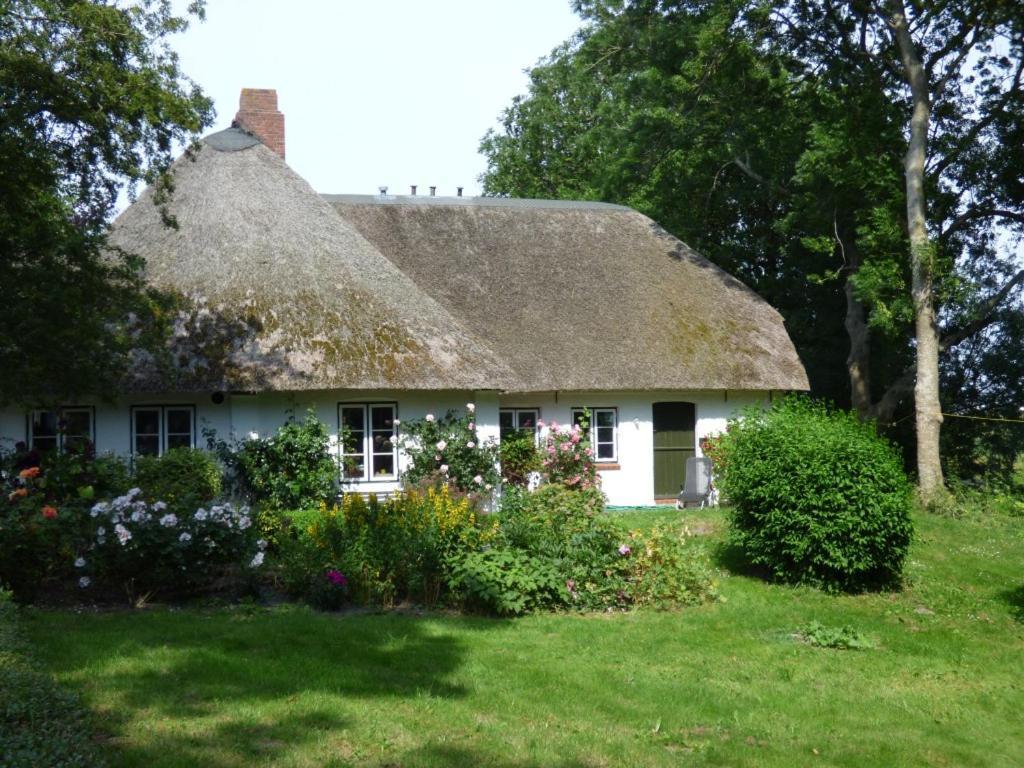 Holiday Home,1532963812:JPEG