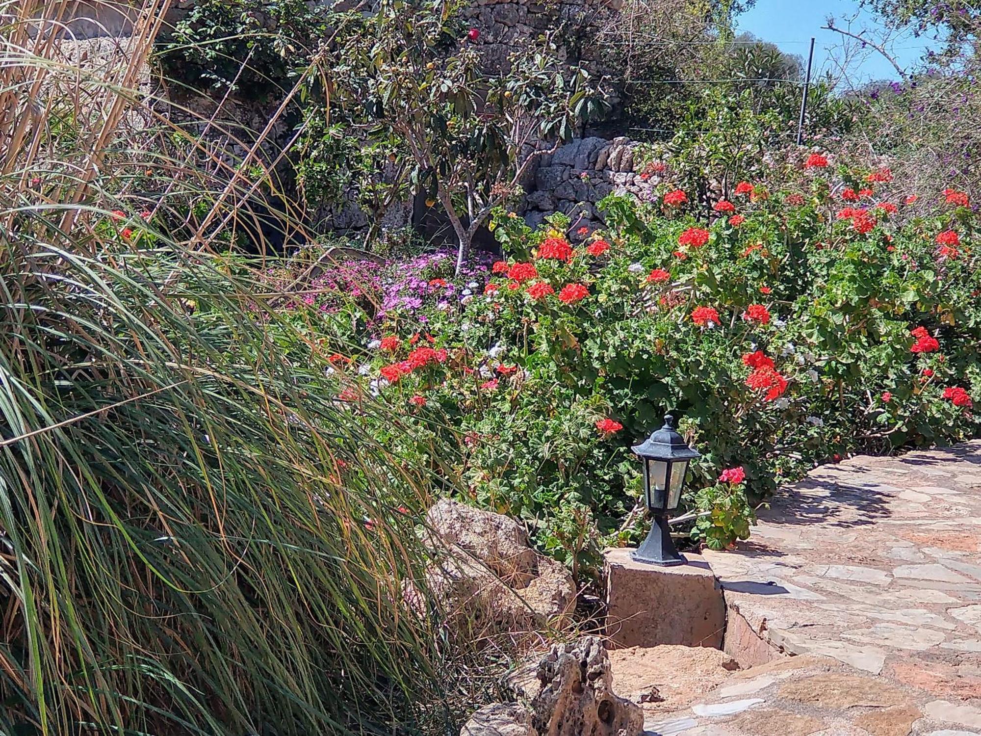 Studio Terrace Garden View,1571291444:JPEG