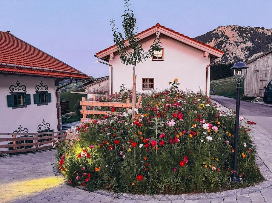 Two-Bedroom House,1594314002:JPEG
