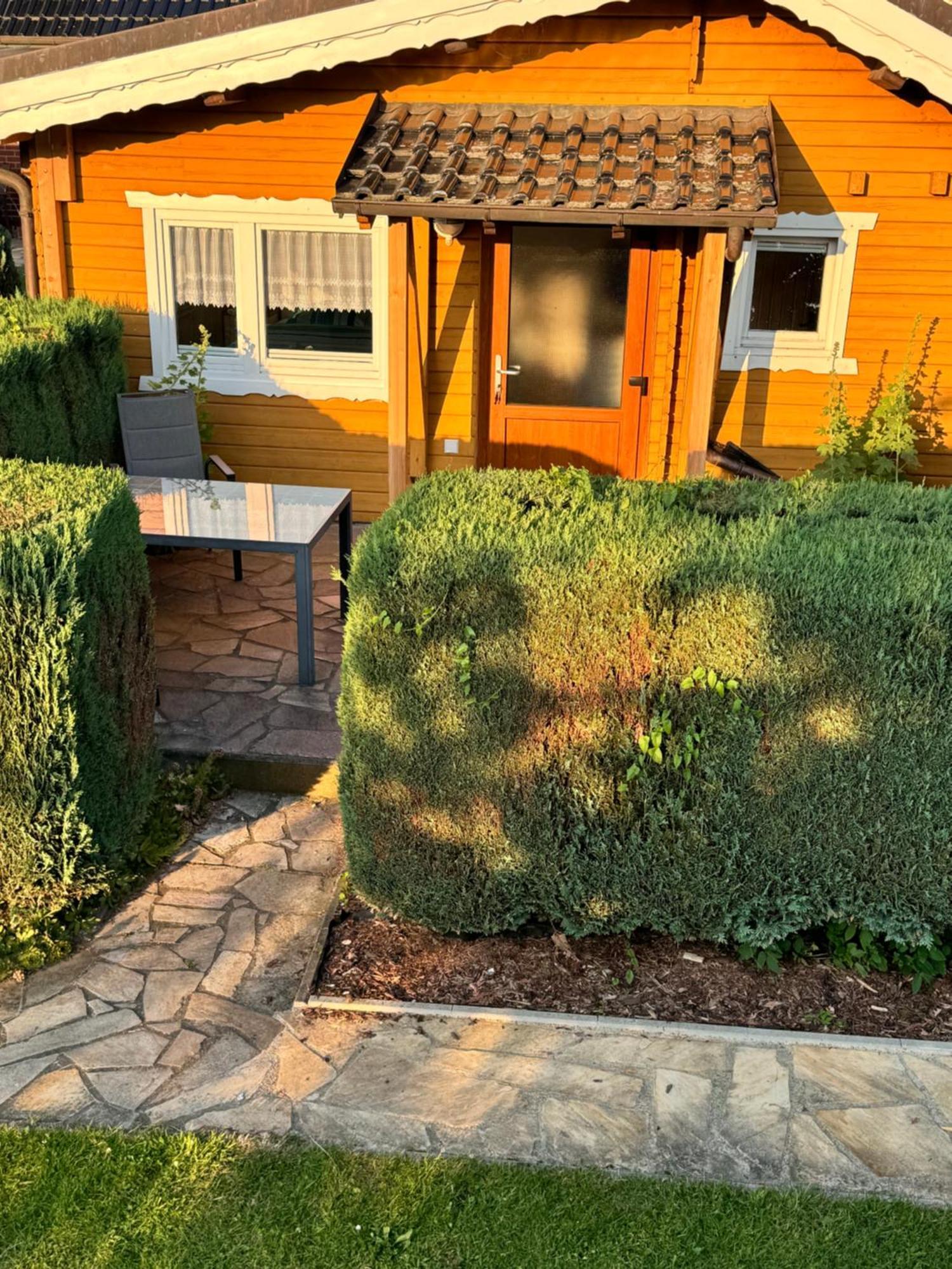 One-Bedroom House,1599449025:JPEG
