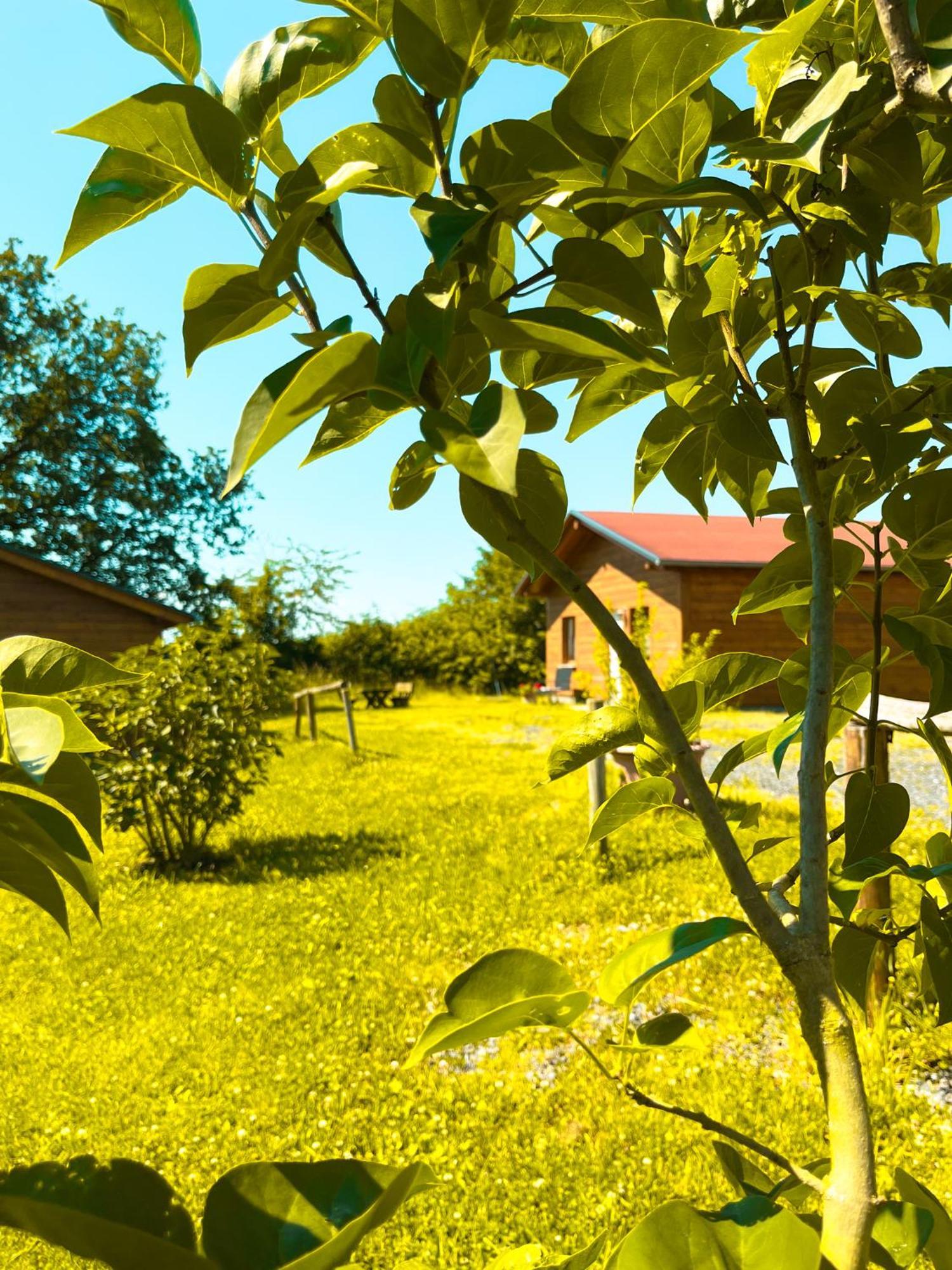 One-Bedroom House,1603661357:JPEG