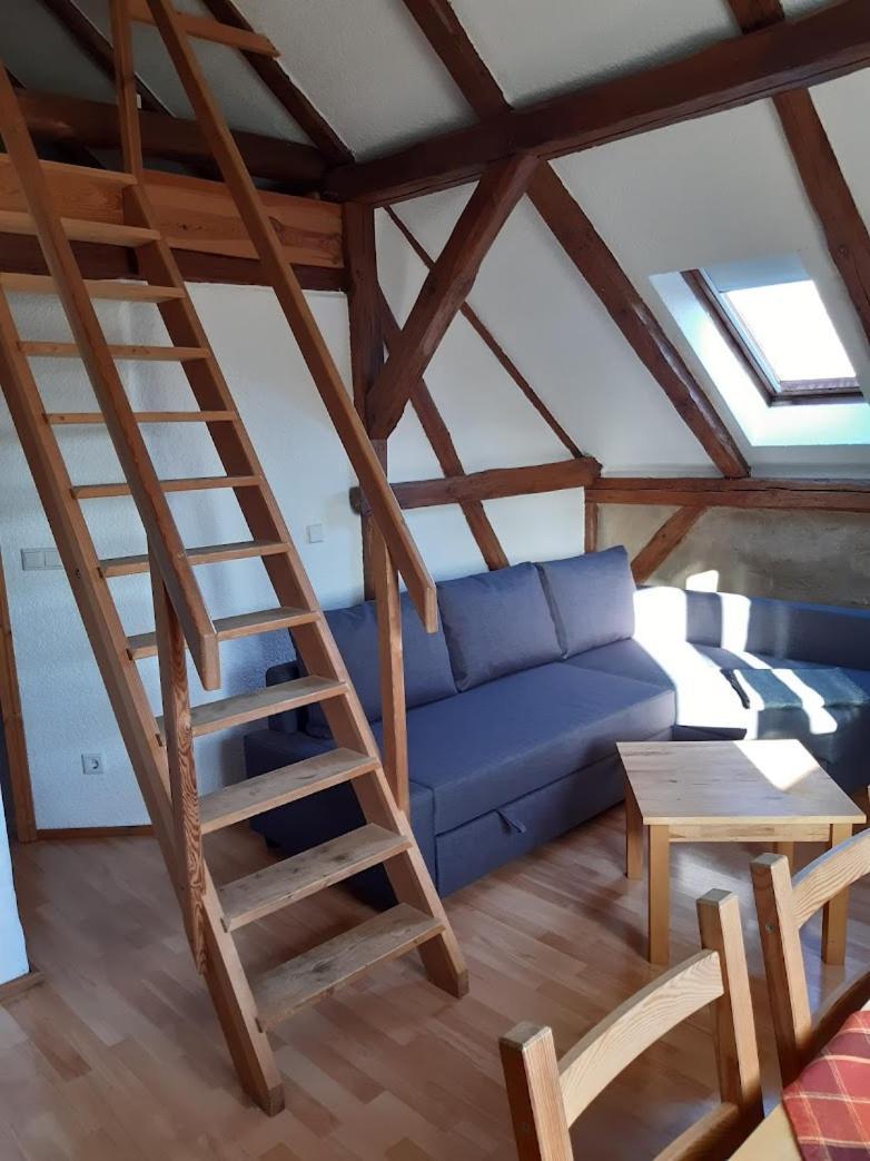 Apartment,1634530120:JPEG