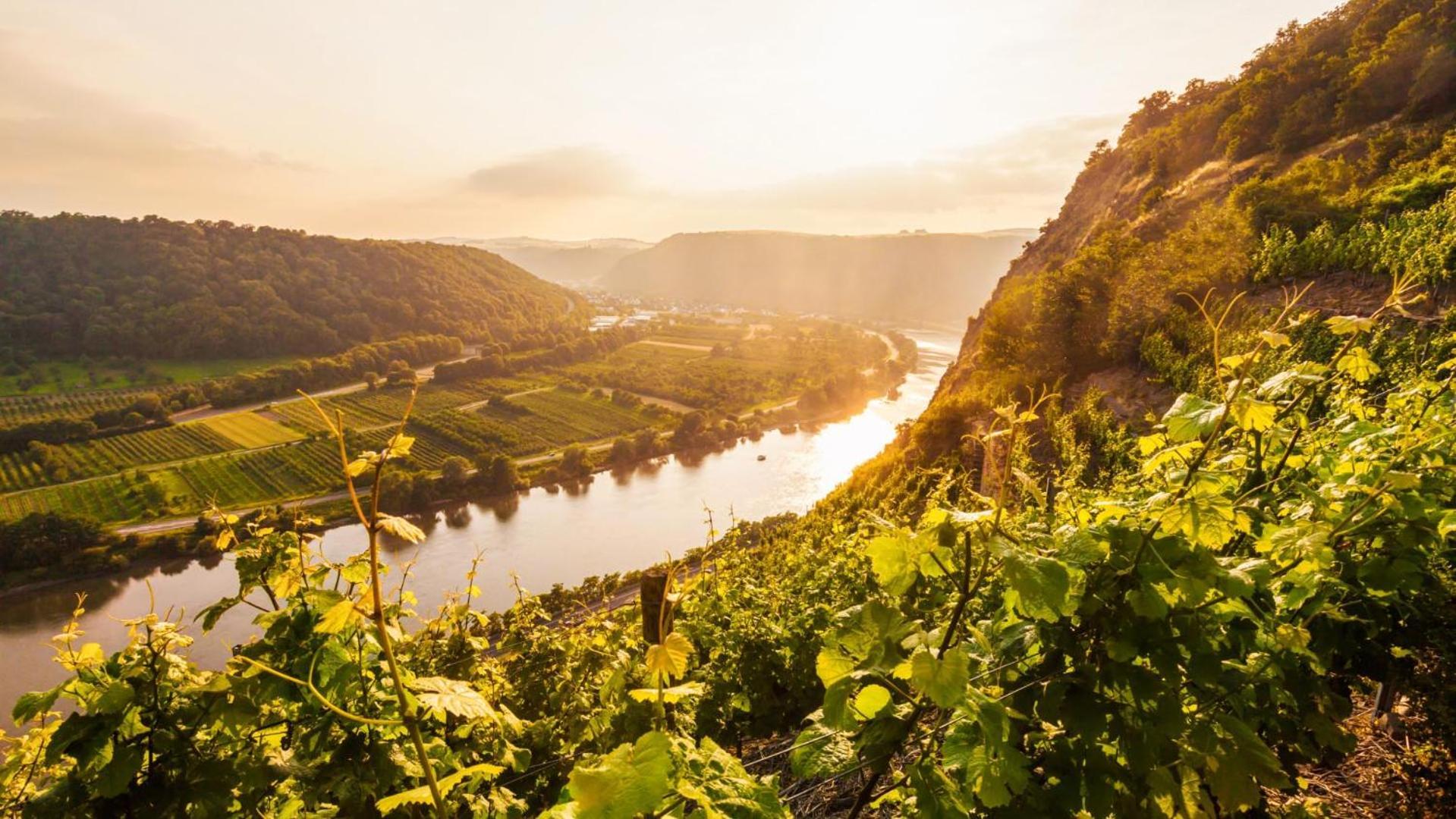 Holiday Home,1648152697:JPEG