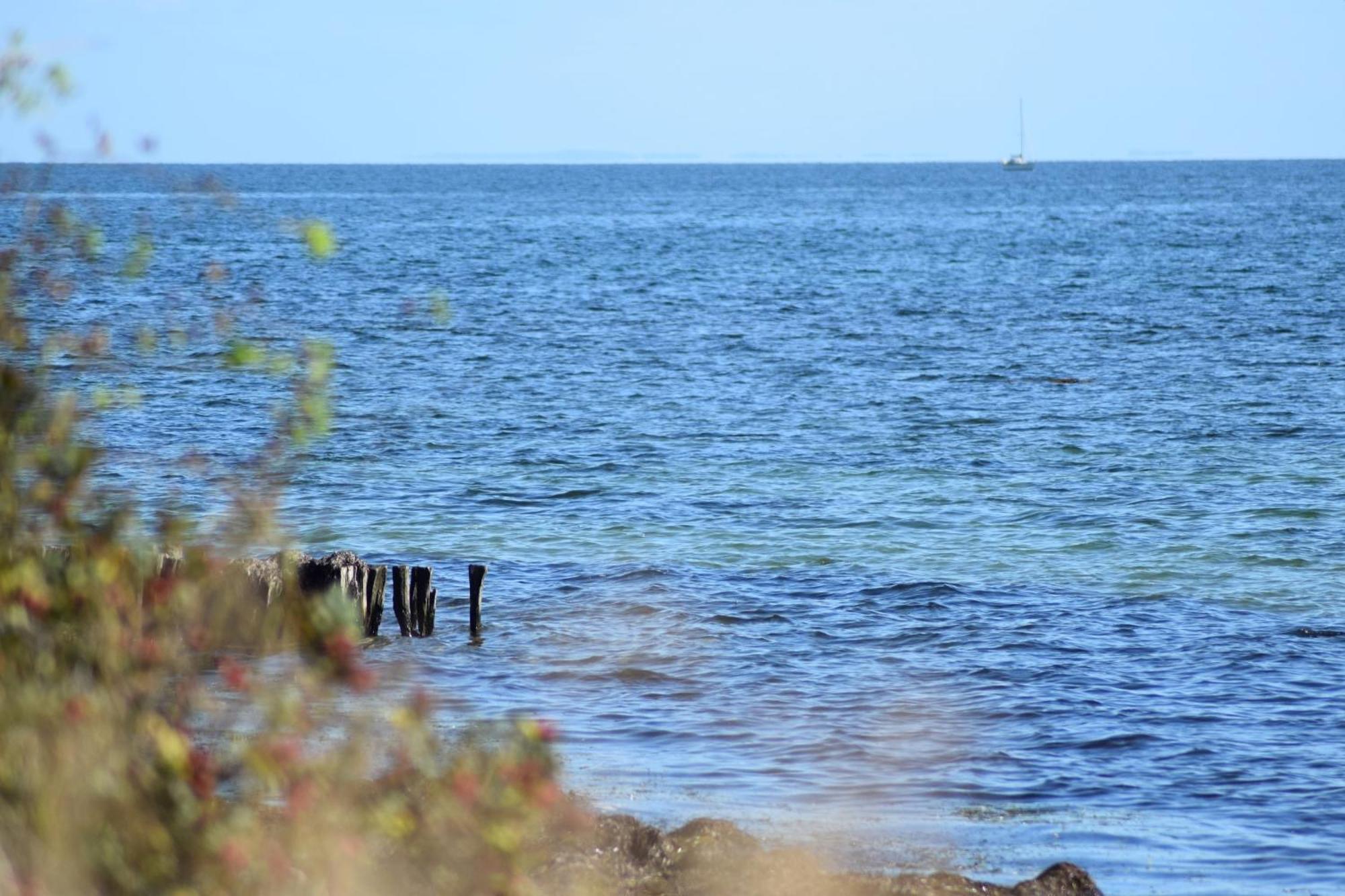 Holiday Home,1648952513:JPEG