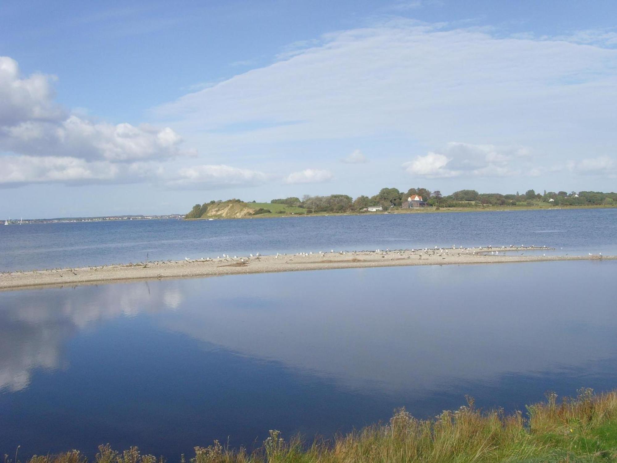 Standard Apartment,1649904924:JPEG