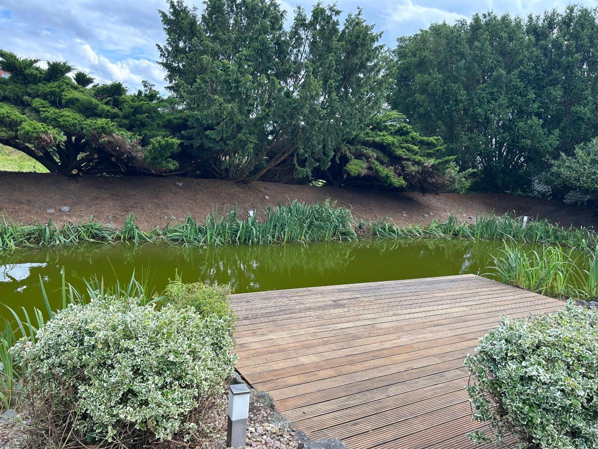 Two-Bedroom House,1652248856:JPEG