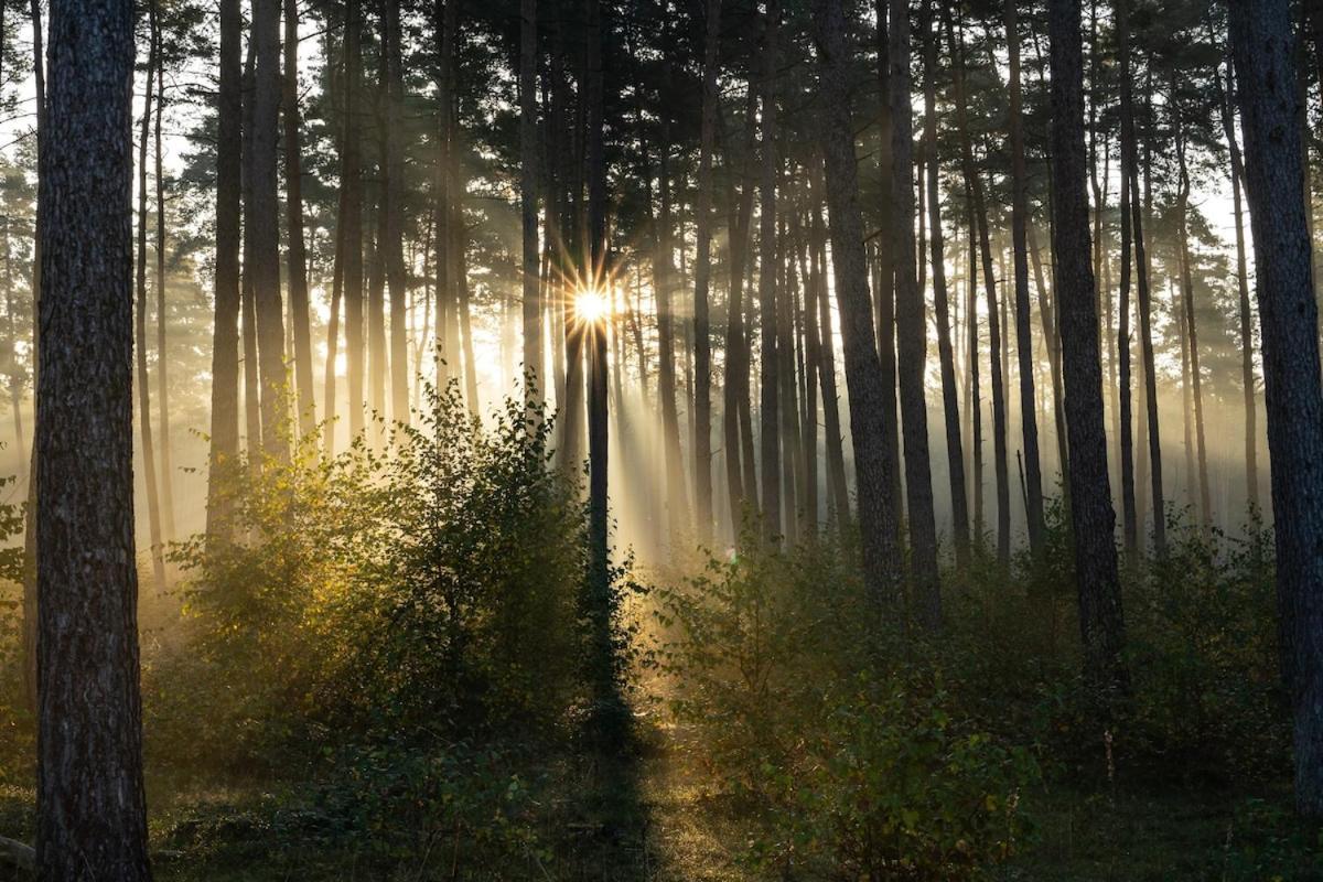 Two-Bedroom House,1657570746:JPEG