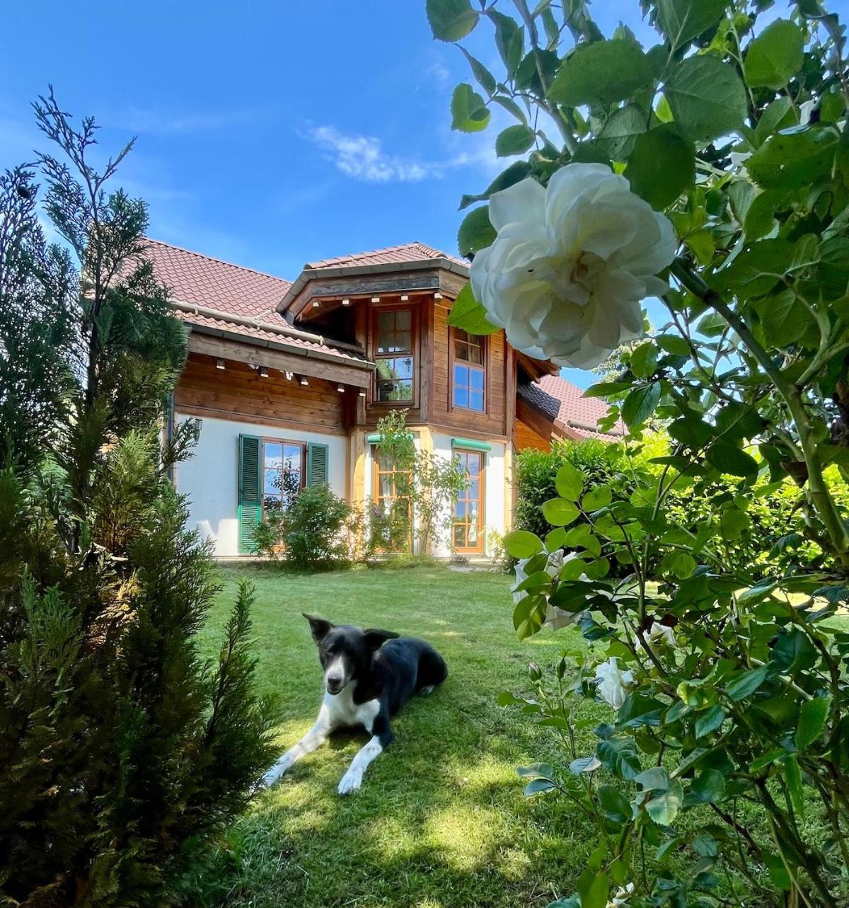 One-Bedroom Villa,1660062424:JPEG