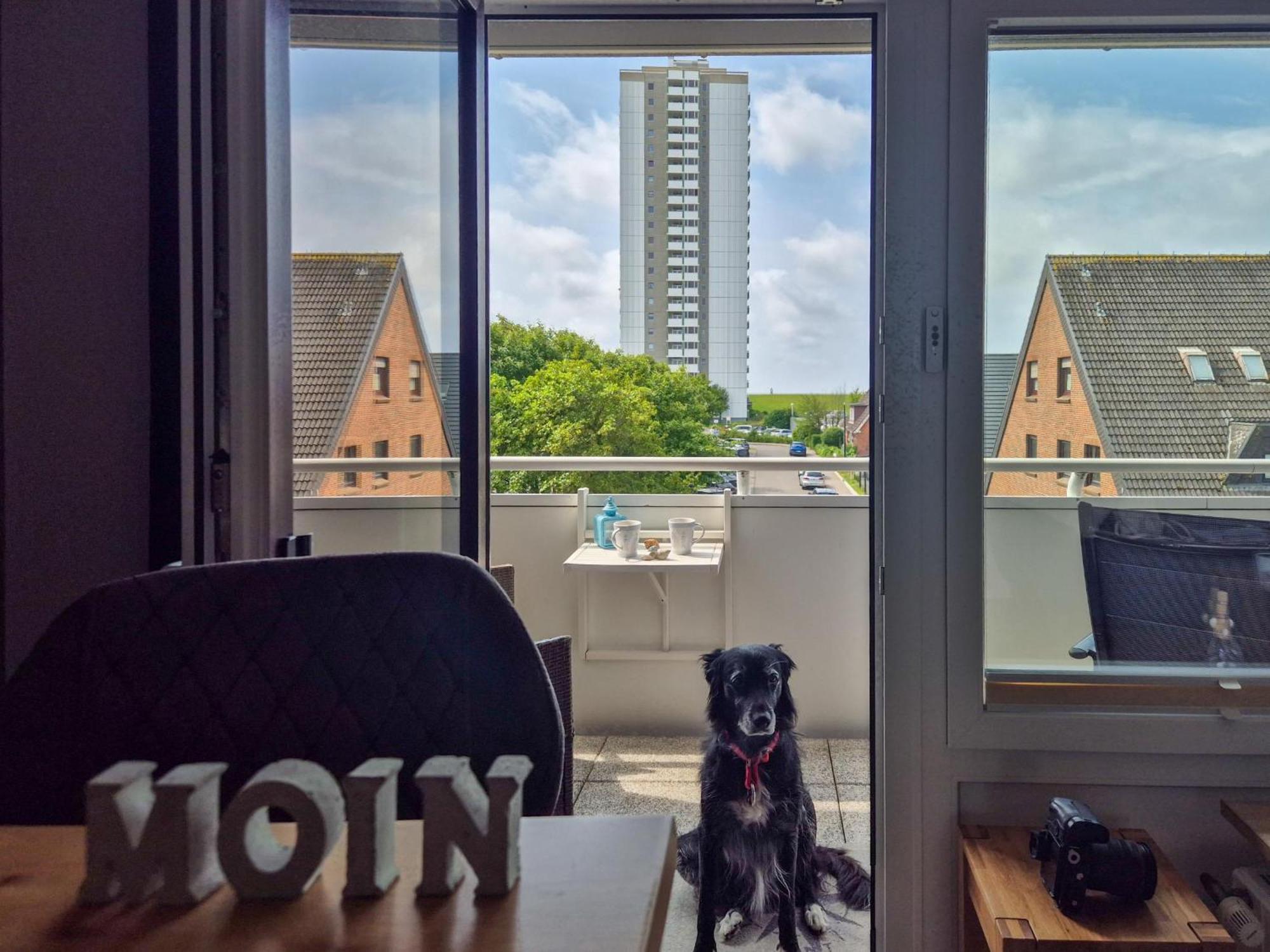 Apartment,1677640935:JPEG