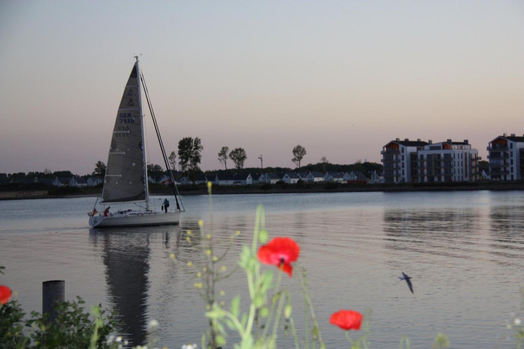 Two-Bedroom Apartment with Balcony and Terrace,1693403256:JPEG