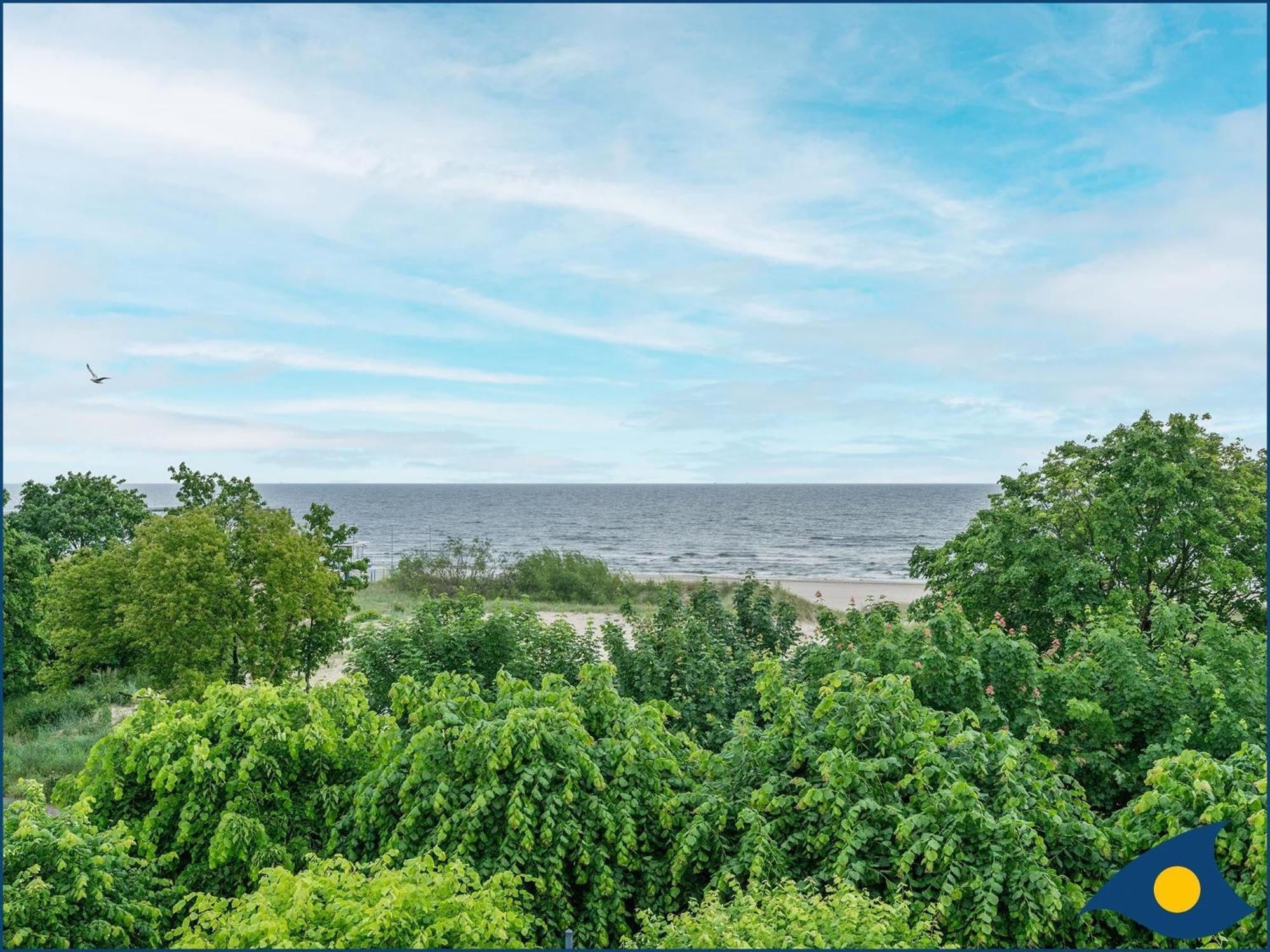 One-Bedroom Apartment with Balcony,1696683117:JPEG