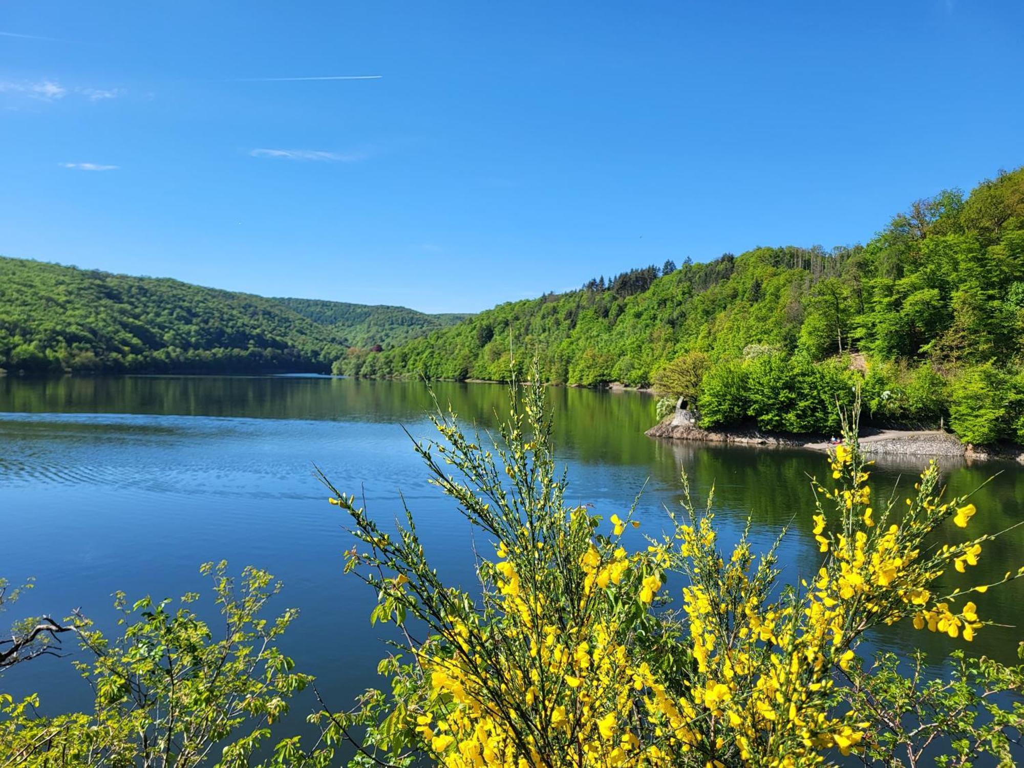 One-Bedroom House,1702099721:JPEG