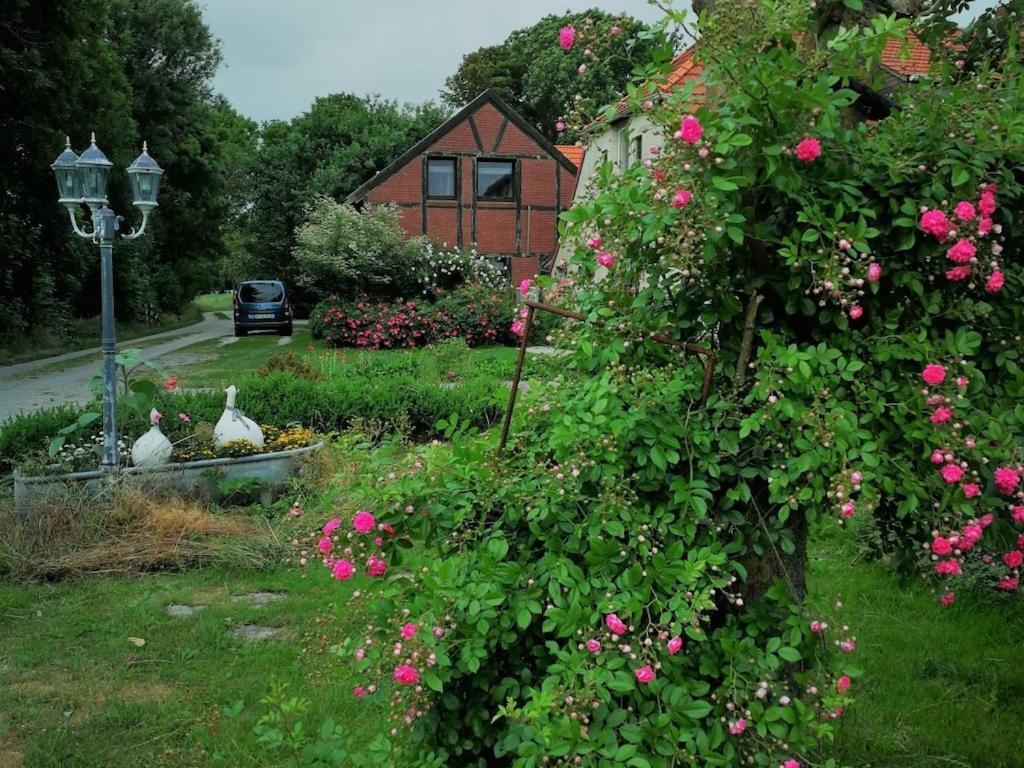 One-Bedroom Holiday Home,1703663934:JPEG