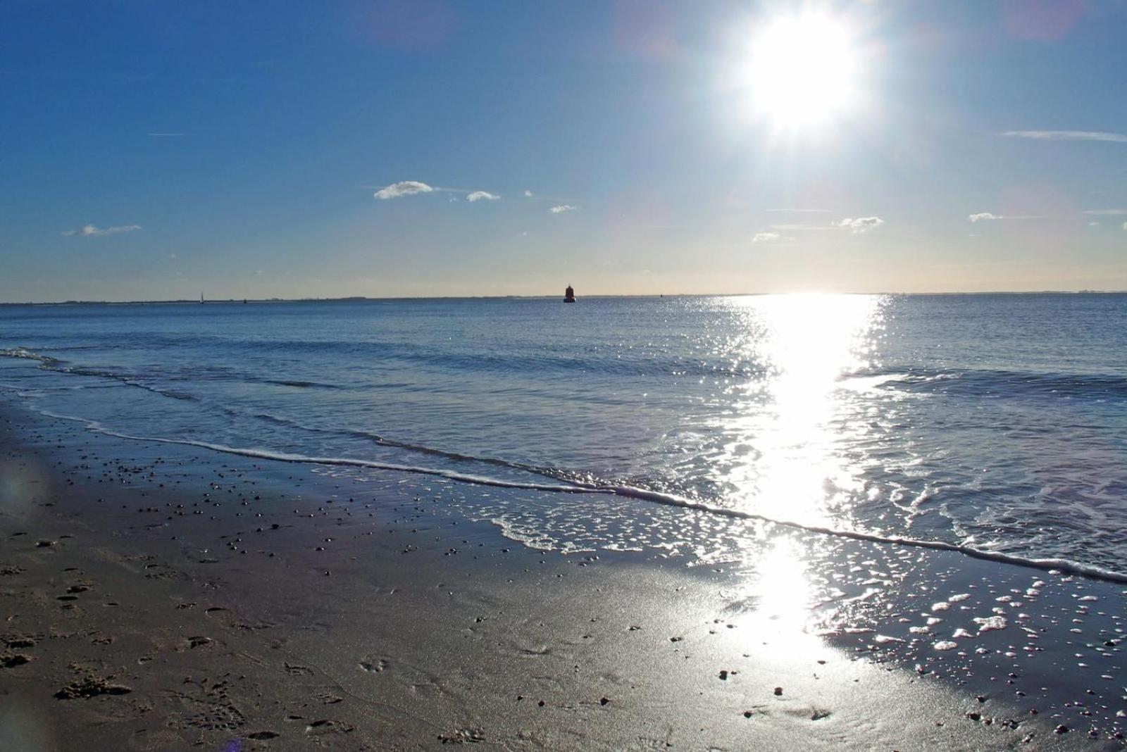 Four-Bedroom House,1704353444:JPEG