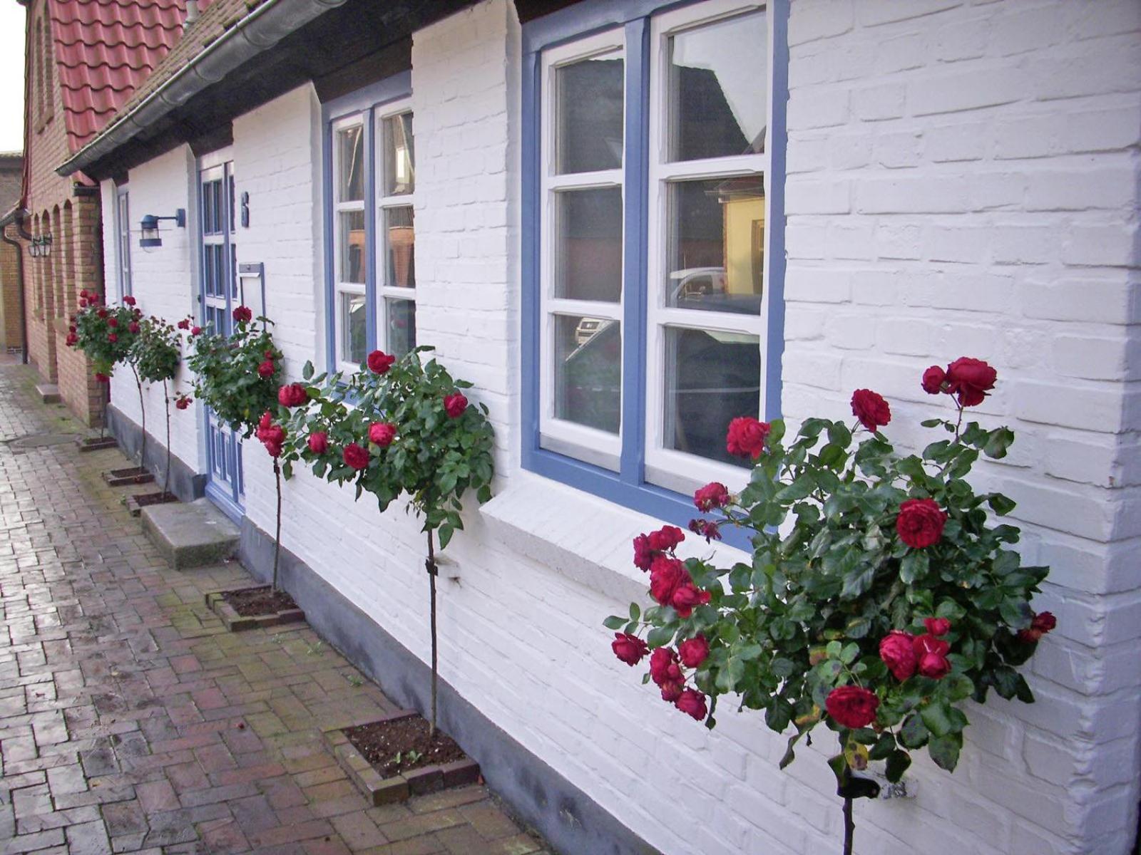 Holiday Home,1743272941:JPEG
