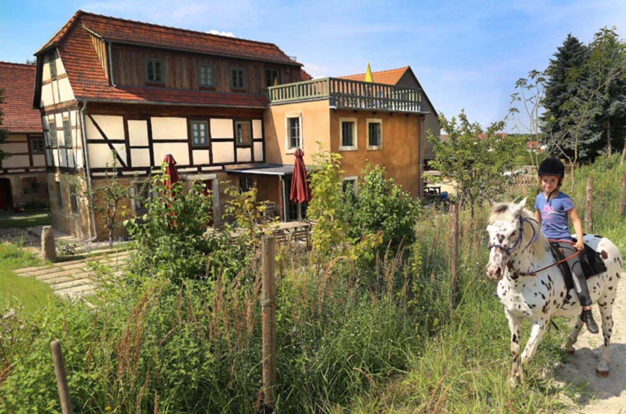 Holiday Home,1767098449:JPEG