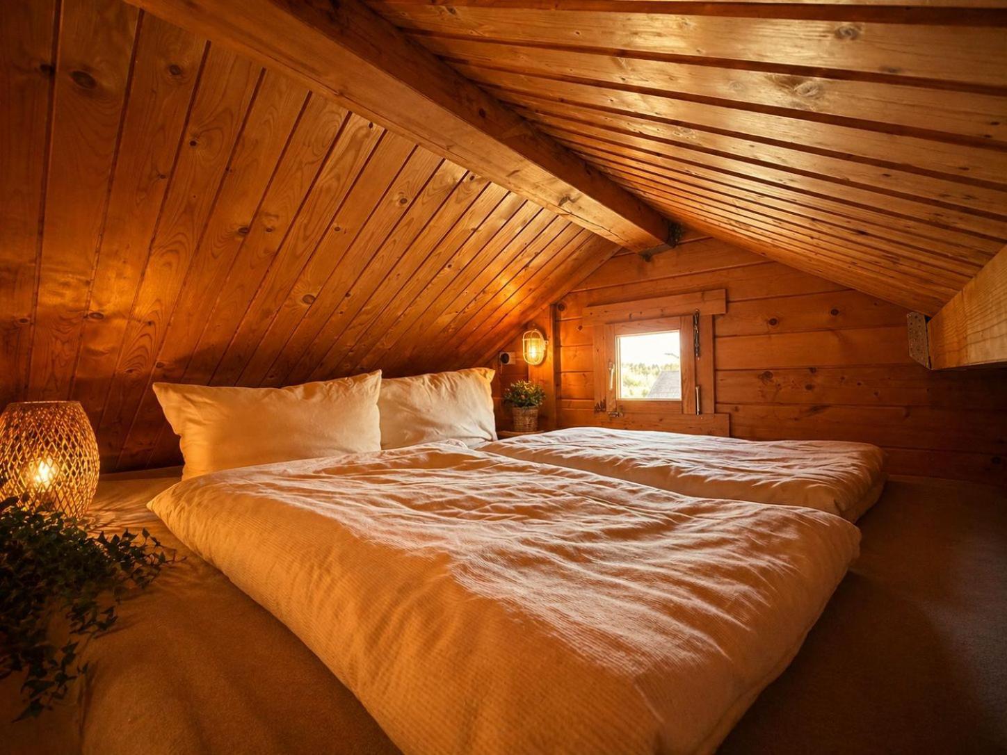 Holiday Home,1768164488:JPEG
