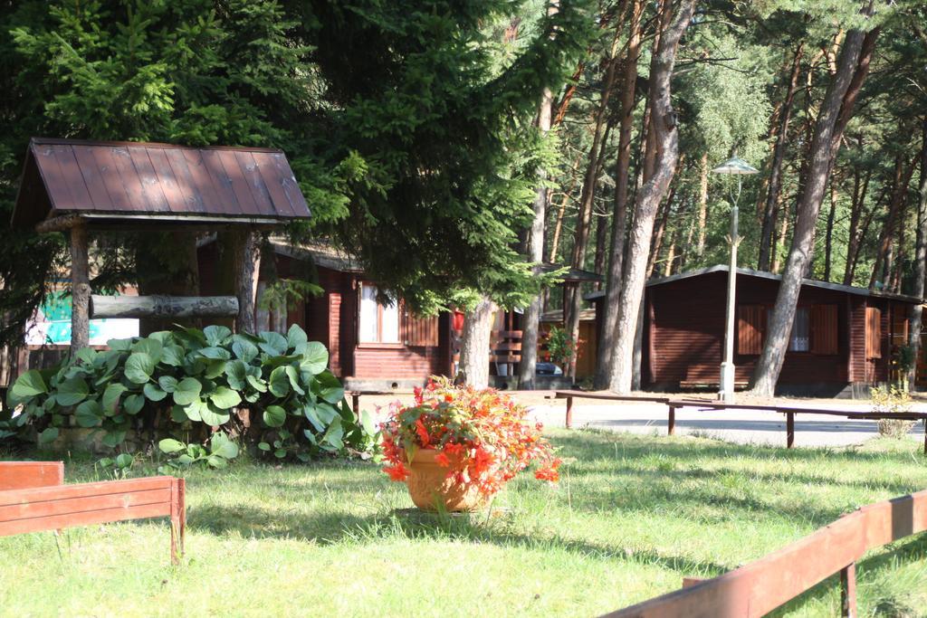 Standard Bungalow,210650939:JPEG