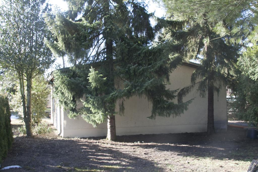 Two-Bedroom Bungalow,236817657:JPEG