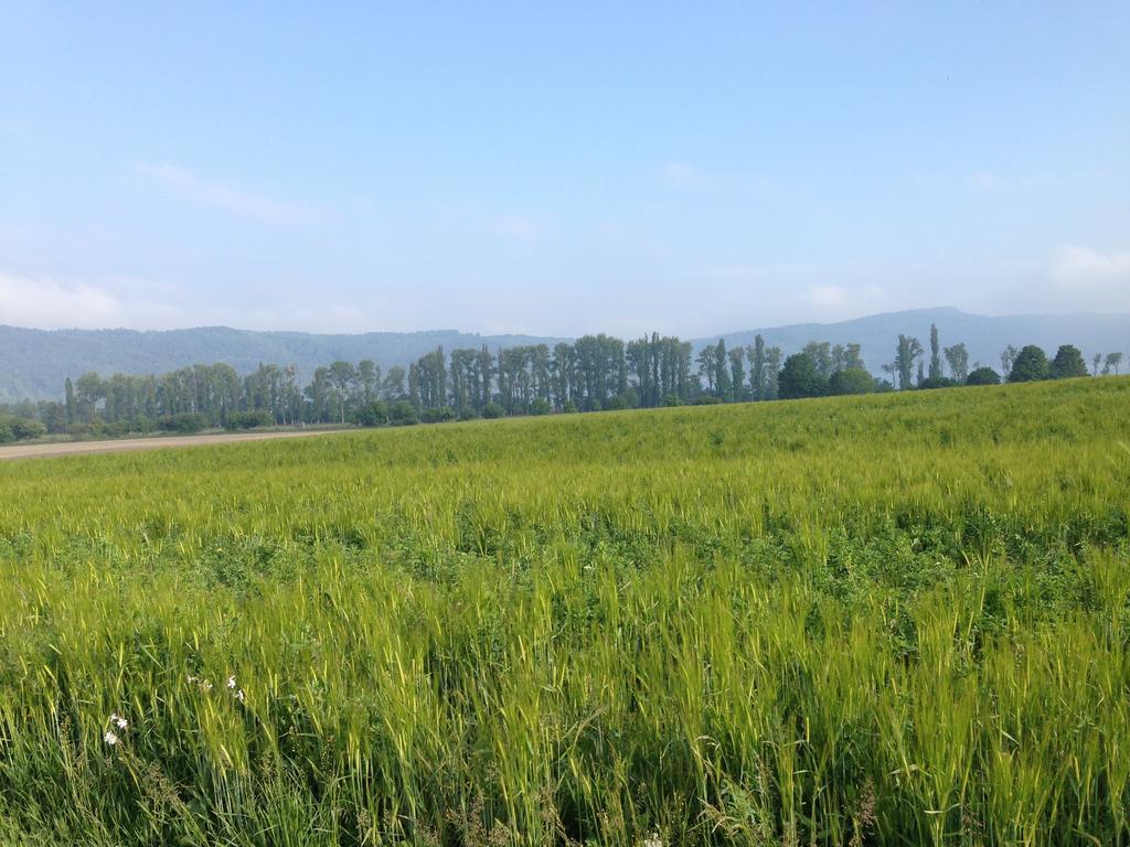 Eight-Bedroom House,326595283:JPEG