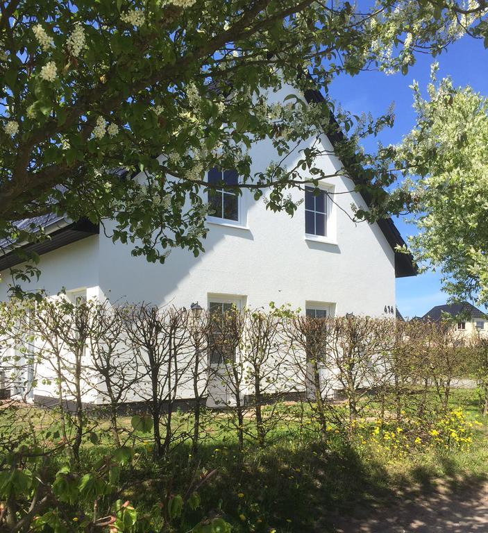 One-Bedroom Apartment,515720541:JPEG