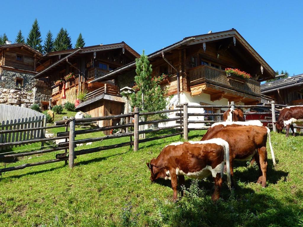 Chalet (4 Erwachsene)