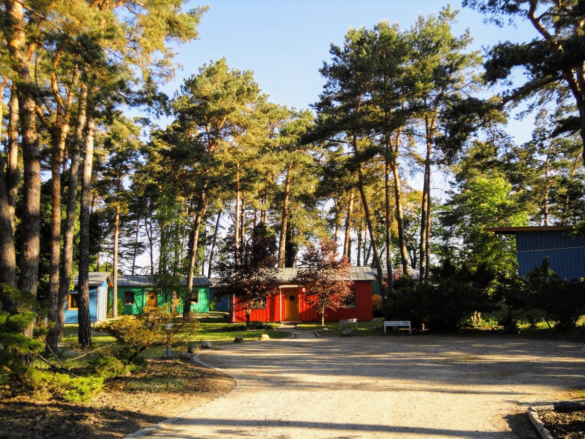 Ferienhaus - Waldsee