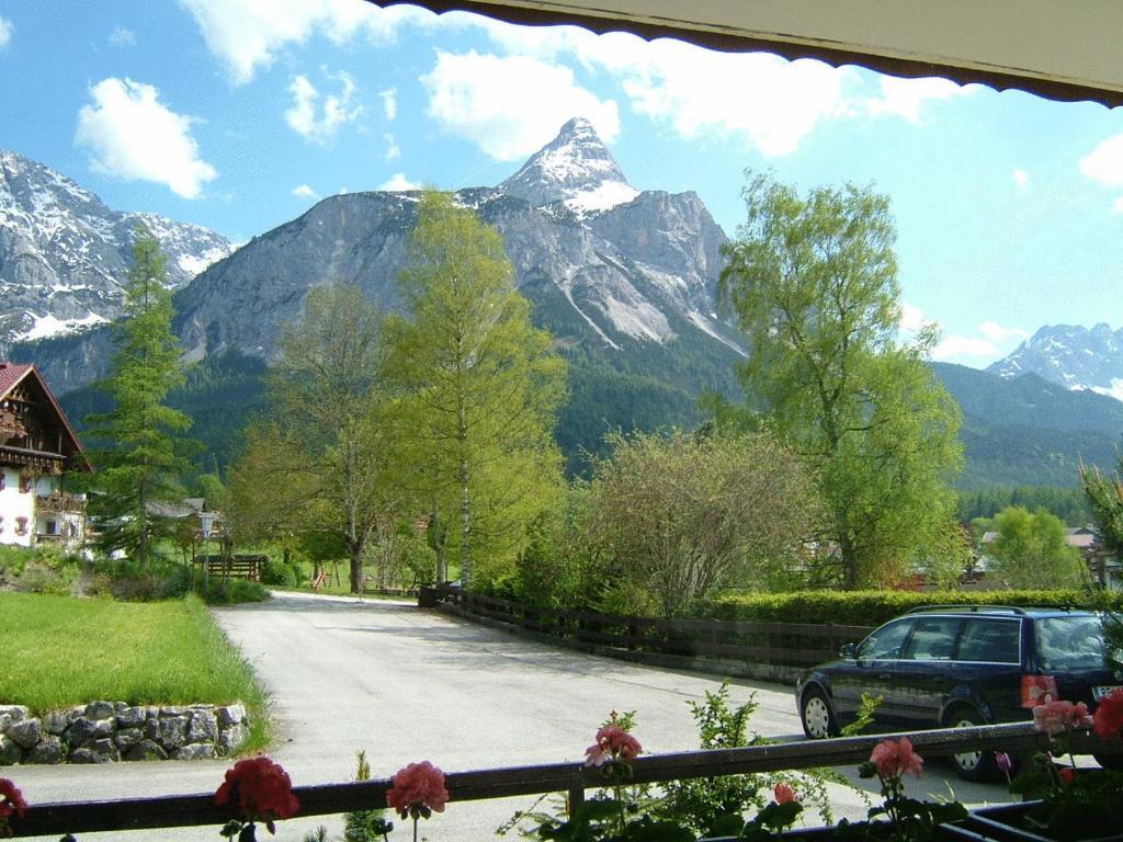 Apartment (2 Adults),43920058:JPEG