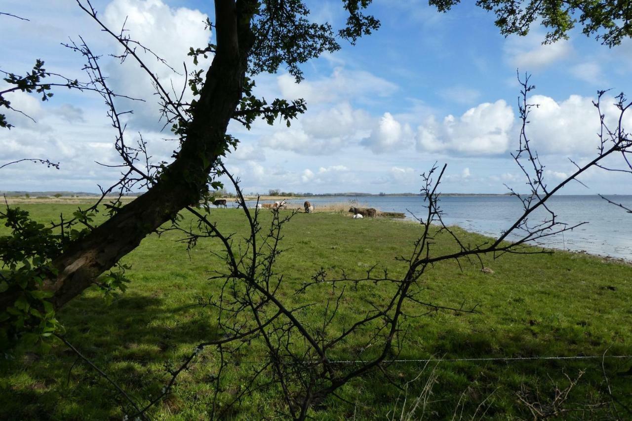 Holiday Home,778018504:JPEG