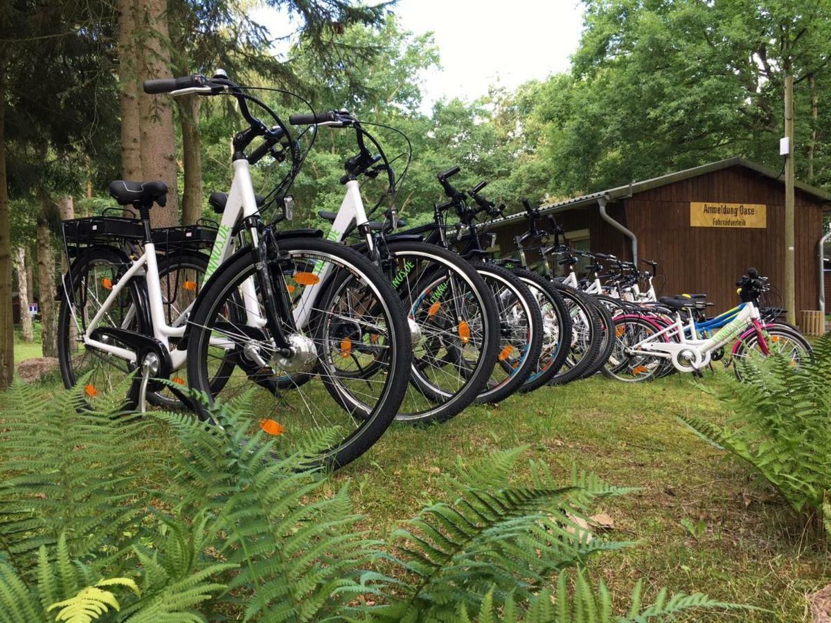 Holiday Home,855878048:JPEG