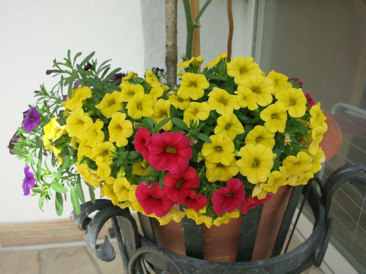 Standard Apartment with Shower,867250757:JPEG