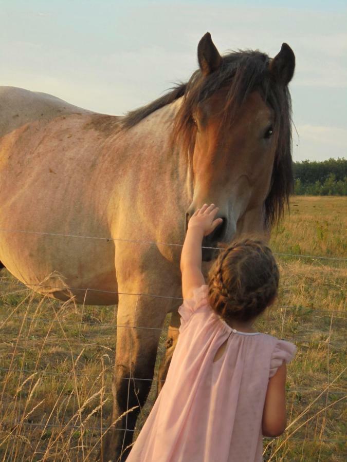 Three-Bedroom Apartment,1392631214:JPEG