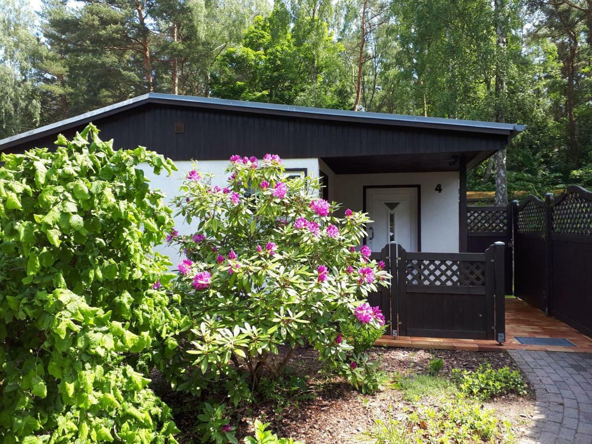 Holiday Home,862618703:JPEG