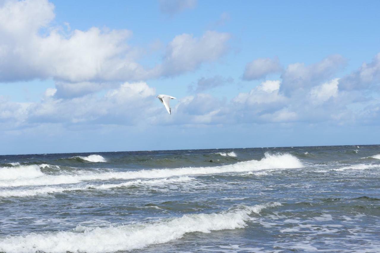 Three-Bedroom House,869578454:JPEG