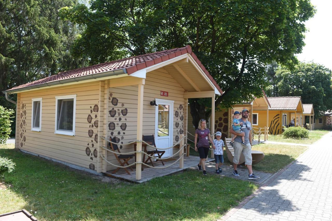 Safari Comfort Lodge (excl. park entrance fee)