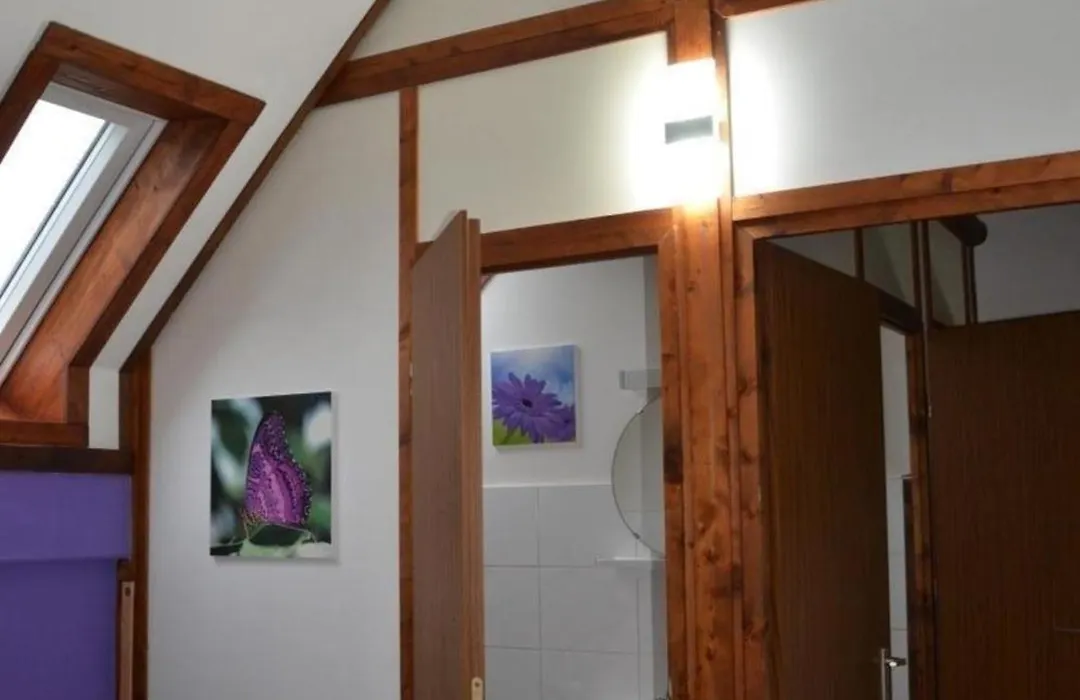 Waldhaus 57 Ferienhaus Ferienpark Silbersee Hessen 2-6 Personen Hund erlaubt Wald See Frielendorf-1