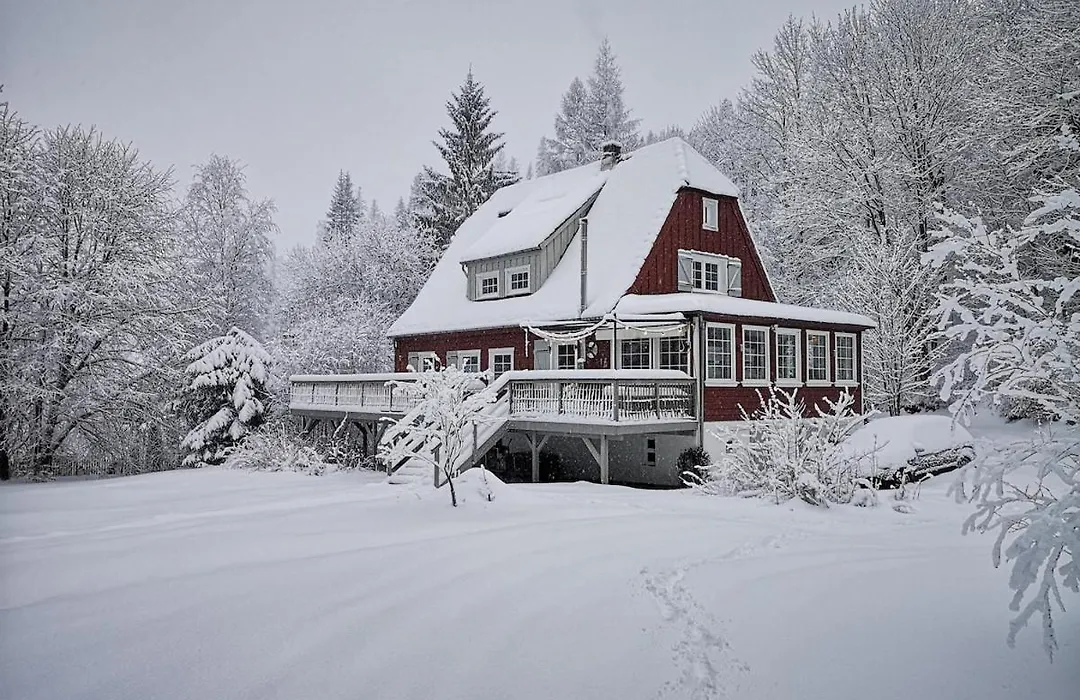 Herzhausen im Harz - Dein Schwedenhaus für 10 Personen-1