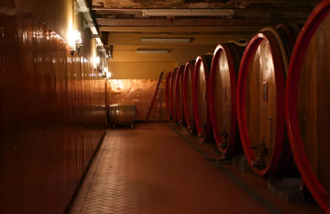 Viticcio-1