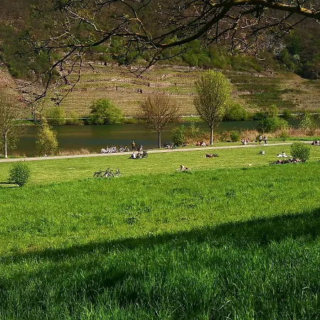 Ferienhaus MaLeFi 1 am Gülser Moselbogen-2