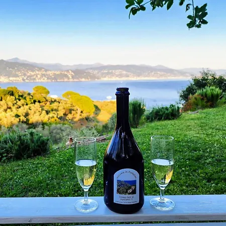Agriturismo Terre Rosse Portofino-2