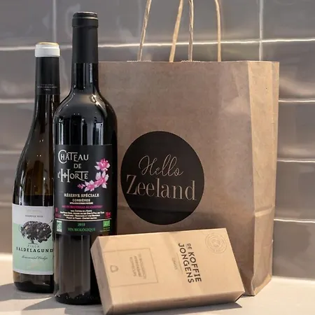 Villa Aan De Duinen In Zoutelande-2